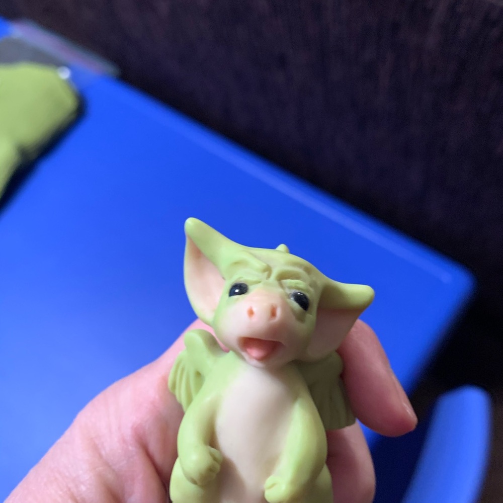 Green pocket Dragon. This one’s name is I’m cranky